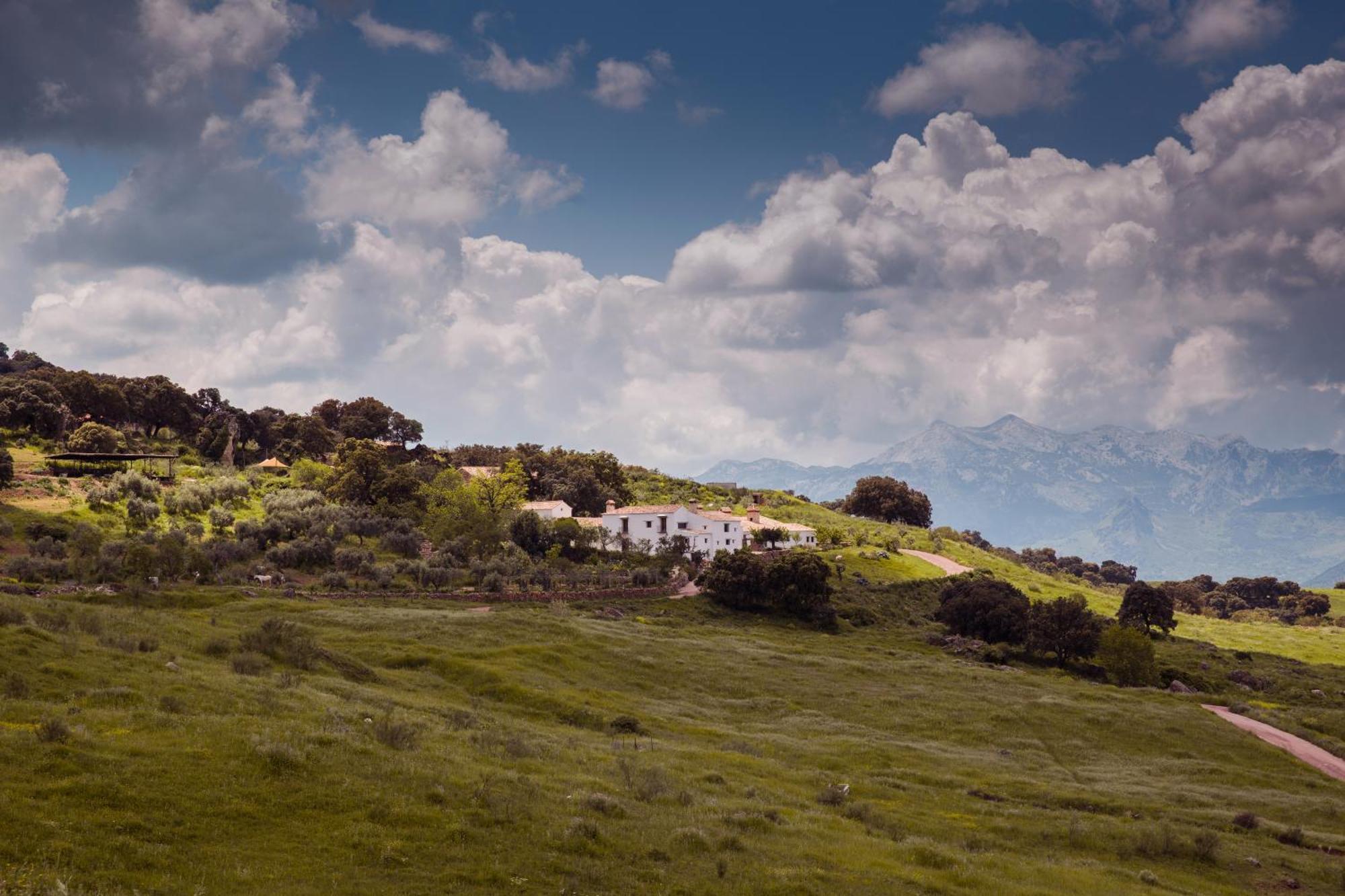 Гостьовий будинок La Donaira Монтекорто Екстер'єр фото
